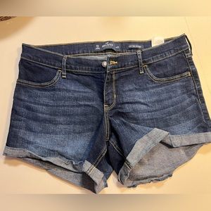 Mid Rise Zipper Fly Cuffed Hem Denim Shorts